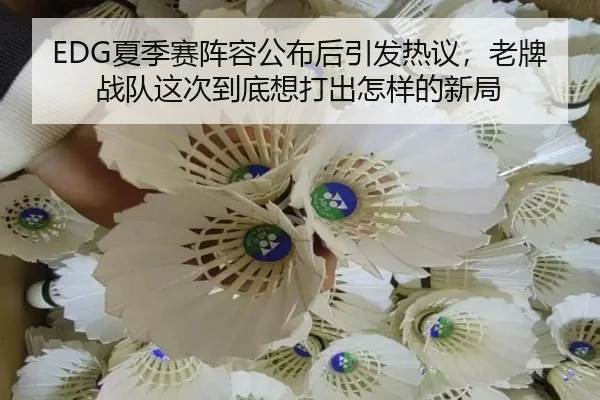 EDG夏季赛阵容公布后引发热议，老牌战队这次到底想打出怎样的新局